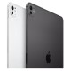 Apple iPad Pro 11" 2024 256Gb