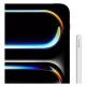 Apple iPad Pro 11" 2024 256Gb