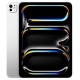 Apple iPad Pro 11" 2024 256Gb